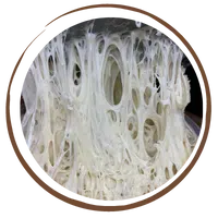 Fermento Natural